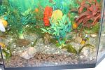     
: IMG_8265.jpg
: 15
:	171.6 
ID:	9470689