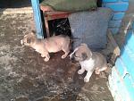     
: 2015-02-27 15.48.13.jpg
: 35
:	203.7 
ID:	9471401