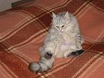     
: IMG_3931.jpg
: 43
:	165.5 
ID:	9472597