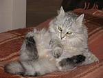    
: IMG_3930.jpg
: 28
:	124.8 
ID:	9472598