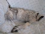     
: IMG_3935.jpg
: 24
:	190.0 
ID:	9472599