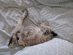     
: IMG_3937.jpg
: 29
:	202.1 
ID:	9472600