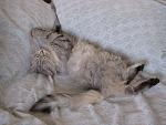     
: IMG_3934.jpg
: 25
:	193.7 
ID:	9472604