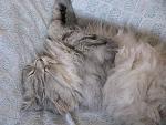     
: IMG_3936.jpg
: 31
:	194.6 
ID:	9472605
