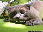     
: x_38ca2c02.jpg
: 685
:	52.2 
ID:	947470