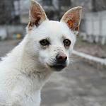     
: мимими.jpg
: 23
:	156.4 
ID:	9478438