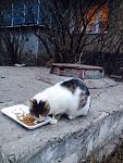     
: 3.jpg
: 10
:	223.4 
ID:	9482081