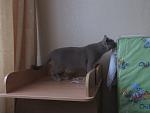     
: IMG_1322.jpg
: 40
:	80.4 
ID:	9485560