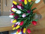     
: image.jpg
: 90
:	137.8 
ID:	9490746