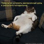     
: 521978.jpg
: 45
:	109.5 
ID:	949143