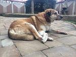     
: pIic3-XIPq4.jpg
: 48
:	155.4 
ID:	9494939