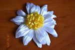     
: DSC_0044.jpg
: 8
:	103.9 
ID:	9495868