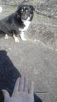     
: uploadfromtaptalk1425474961326.jpg
: 25
:	91.2 
ID:	9497977