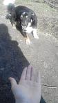     
: uploadfromtaptalk1425474989408.jpg
: 36
:	71.8 
ID:	9497983