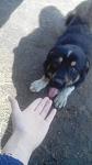     
: uploadfromtaptalk1425475010414.jpg
: 21
:	48.6 
ID:	9497988