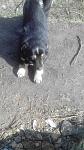     
: uploadfromtaptalk1425475057093.jpg
: 24
:	96.5 
ID:	9497990
