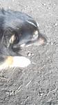     
: uploadfromtaptalk1425475112602.jpg
: 22
:	64.9 
ID:	9497997