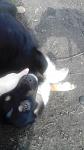     
: uploadfromtaptalk1425475136305.jpg
: 18
:	62.9 
ID:	9498002