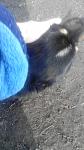     
: uploadfromtaptalk1425475145762.jpg
: 25
:	76.5 
ID:	9498005