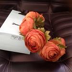     
: Q7NoCEFJvYA.jpg
: 28
:	98.4 
ID:	9498433