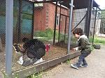     
: 10309959_433236166812708_1858229407_o.jpg
: 42
:	284.1 
ID:	9505717