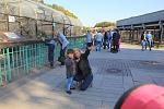     
: IMG_1629.jpg
: 46
:	168.0 
ID:	9505728