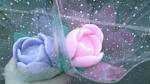     
: image (6).jpg
: 6
:	34.6 
ID:	9508558