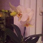    
: image.jpg
: 22
:	192.8 
ID:	9512883