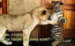     
: getImage.jpg
: 21
:	120.3 
ID:	9515048