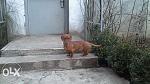     
: 195537863_1_644x461_otdam-taksu-odessa.jpg
: 14
:	30.9 
ID:	9516470