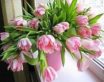     
: image.jpg
: 15
:	127.2 
ID:	9516935