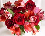     
: 7850e8779938446bc68f5-1280.jpg
: 30
:	124.7 
ID:	9517457