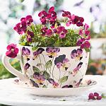     
: SPRING_FLOWERS.jpg
: 29
:	82.5 
ID:	9518720