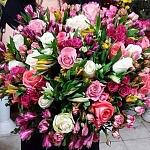     
: image-625b97f33b98c5debb04843f600e161cb380c36573d9f7b568b1298ef78def67-V.jpg
: 20
:	245.4 
ID:	9519010