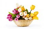     
: kart_vnutri_1-thumb.jpg
: 18
:	17.4 
ID:	9519652