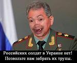     
: 54228.jpg
: 11
:	34.4 
ID:	9529900