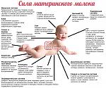     
: image.jpg
: 50
:	180.1 
ID:	9532789