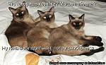     
: 1235568506_13.jpg
: 15
:	47.8 
ID:	9535273