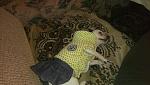     
: PaTvnLMU9Ok.jpg
: 28
:	175.3 
ID:	9544253