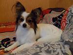     
: SAM_4241.jpg
: 17
:	115.8 
ID:	9552598