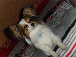     
: SAM_3828.jpg
: 16
:	141.3 
ID:	9552614