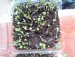    
: IMG_20150315_150913.jpg
: 30
:	192.0 
ID:	9553518
