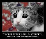     
: 254616.jpg
: 82
:	42.8 
ID:	955385