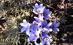     
: 20150315_124712.jpg
: 11
:	141.7 
ID:	9554686