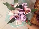     
: IMG_0811.jpg
: 27
:	125.9 
ID:	9555165