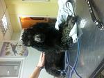     
: image.jpg
: 29
:	114.0 
ID:	9559678