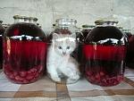     
: Ak58BX7FHnE.jpg
: 30
:	47.2 
ID:	9560239