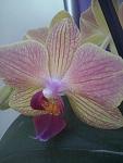     
: CAM00853.jpg
: 5
:	66.3 
ID:	9561278