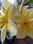     
: IMG_0023.jpg
: 4
:	63.8 
ID:	9562218