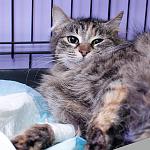     
: DSC_1195.jpg
: 42
:	88.9 
ID:	9566064